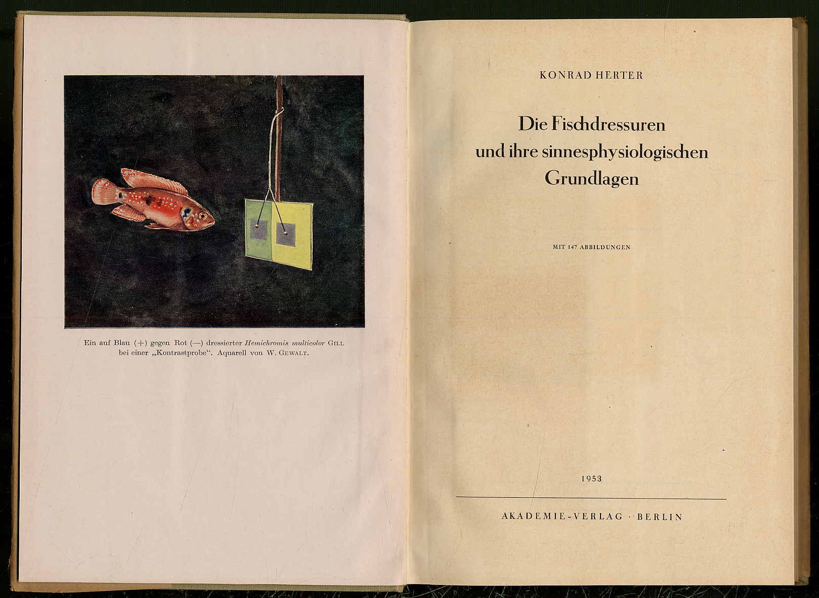 Herter, Die Fischdressuren und ihre sinnesphysiologischen Grundlagen.