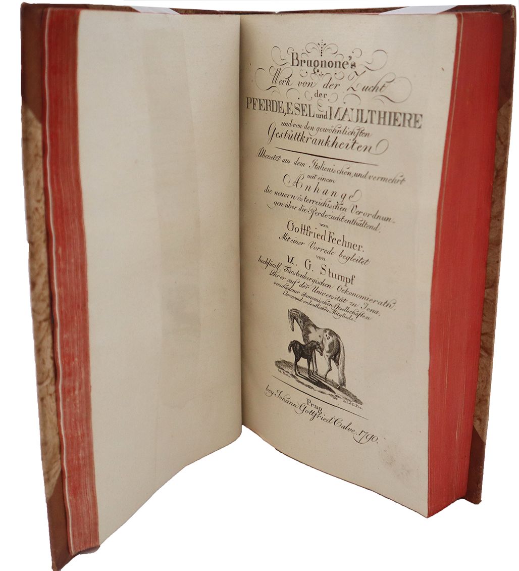 Brugnone, Werk von der Zucht der Pferde, Esel und Maulthiere und von den gewöhnl